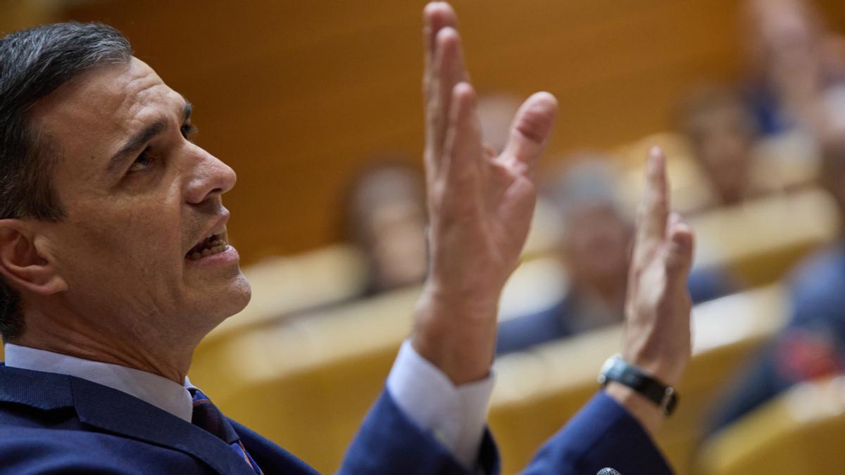 Pedro Sánchez interviene en el Senado