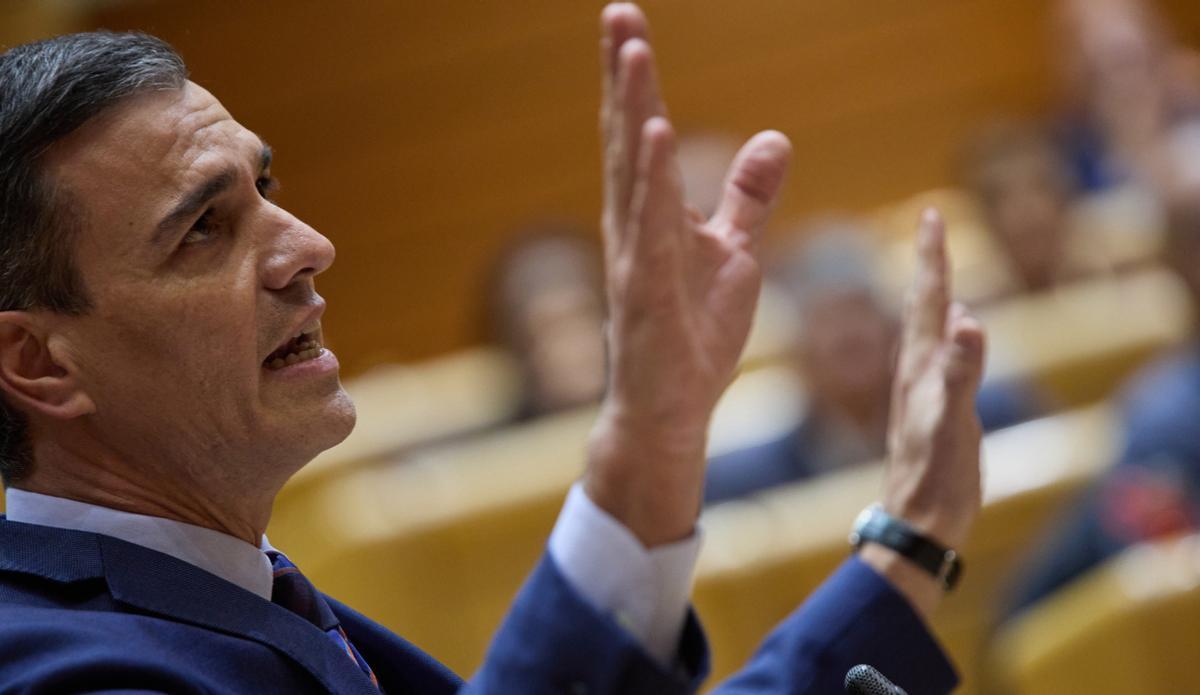 Pedro Sánchez interviene en el Senado