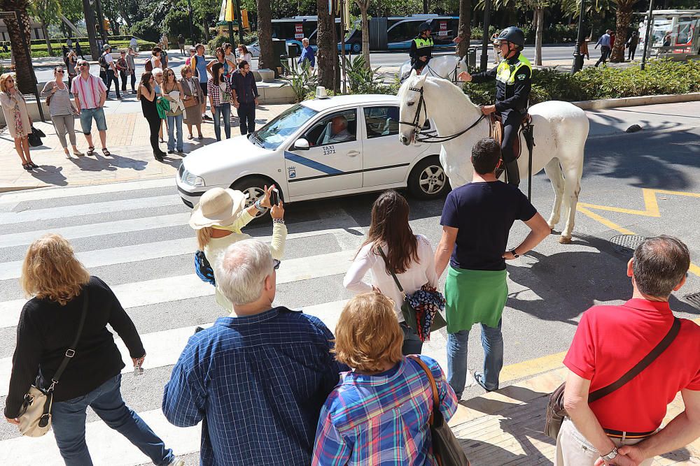 Los turistas, llegados en tres cruceros, visitan la ciudad en plena Semana Santa