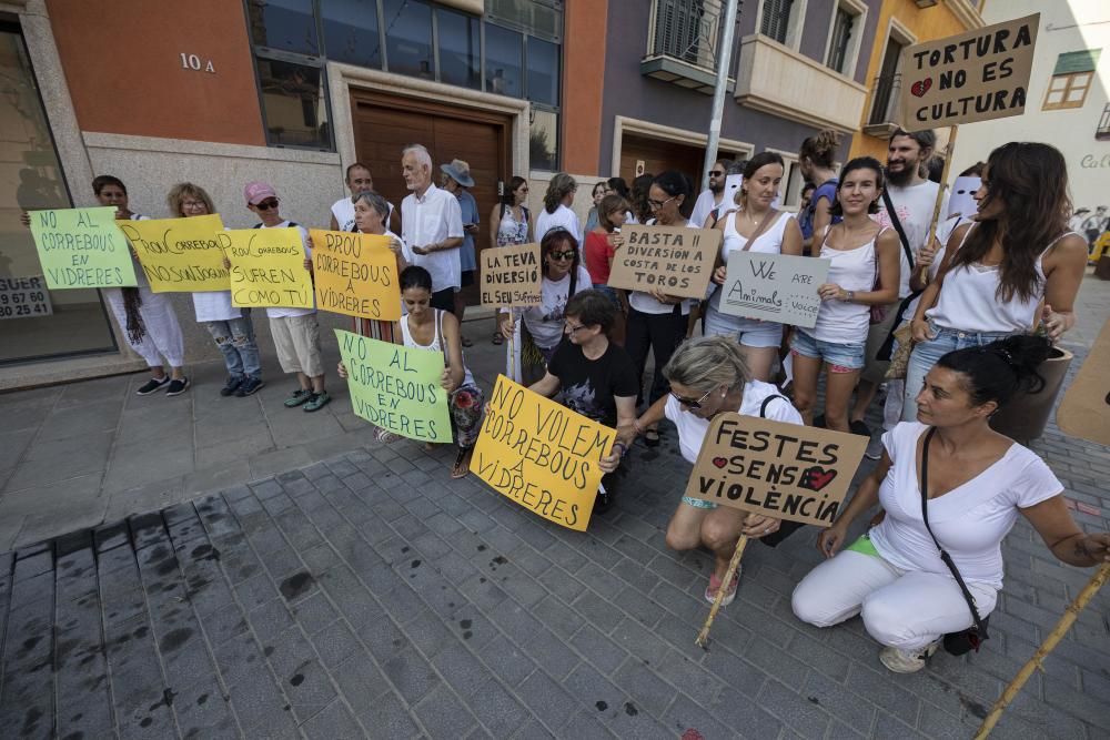 Vidreres celebra els correbous entre les protestes dels animalistes