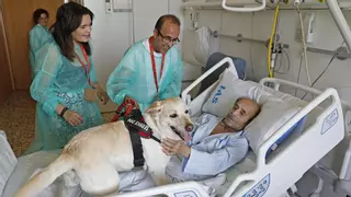 El Santa Caterina deixa entrar els gossos per acomiadar-se dels seus amos: "És com una filla per a mi"