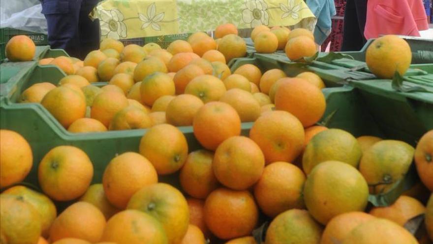 La policía inspecciona 129 fruterías e inmoviliza 46 Tm de fruta dudosa