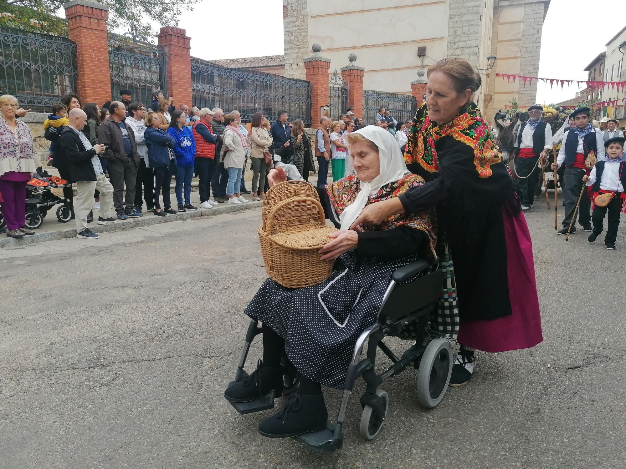 GALERÍA | Toro recrea la vendimia tradicional en el desfile de carros