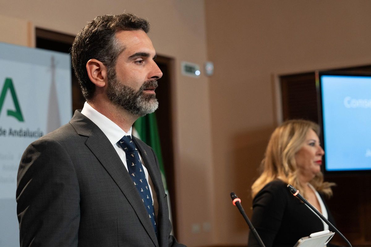 El consejero de Sostenibilidad, Medio Ambiente y Economía Azul de la Junta de Andalucía y portavoz del gobierno, Ramón Fernández-Pacheco, en la rueda de prensa tras el Consejo de Gobierno andaluz en el Palacio de San Telmo.