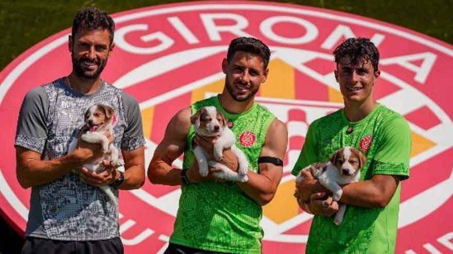 El Girona impulsa la campanya "Cap gos fora de joc" amb la Fundació Anxova Peluda