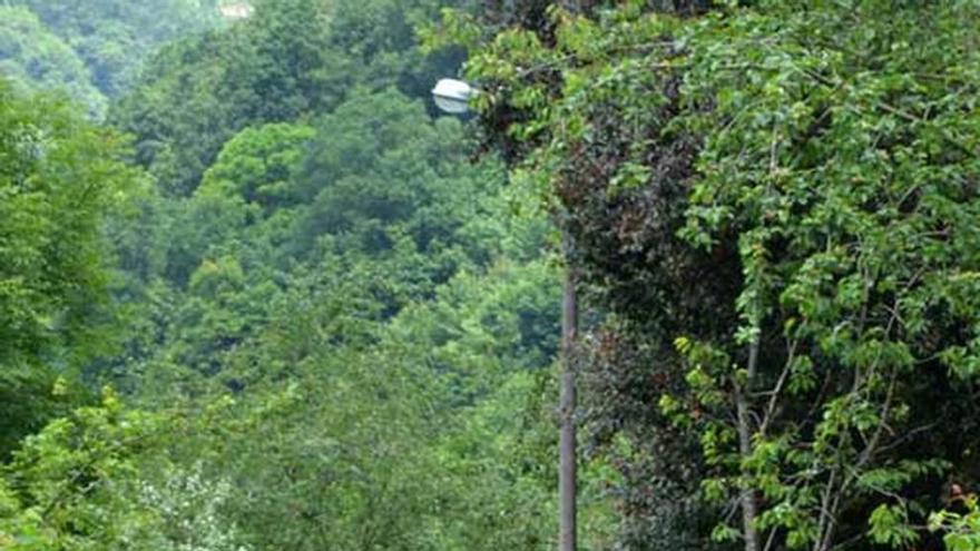 La senda verde en Trubia.