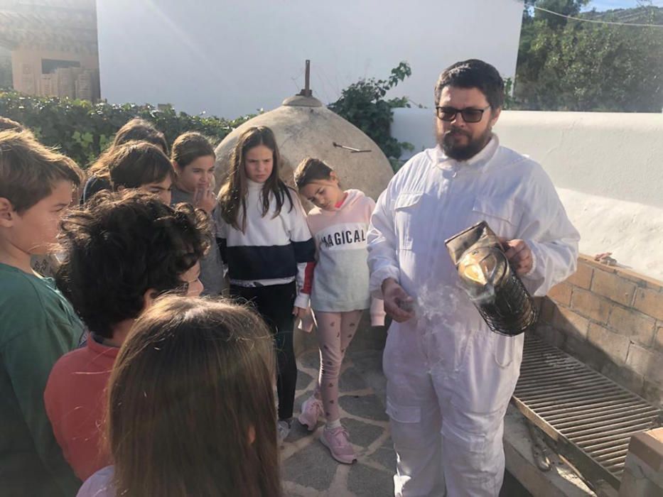 Niños apicultores en el Camp d'Aprenentatge de sa Cala