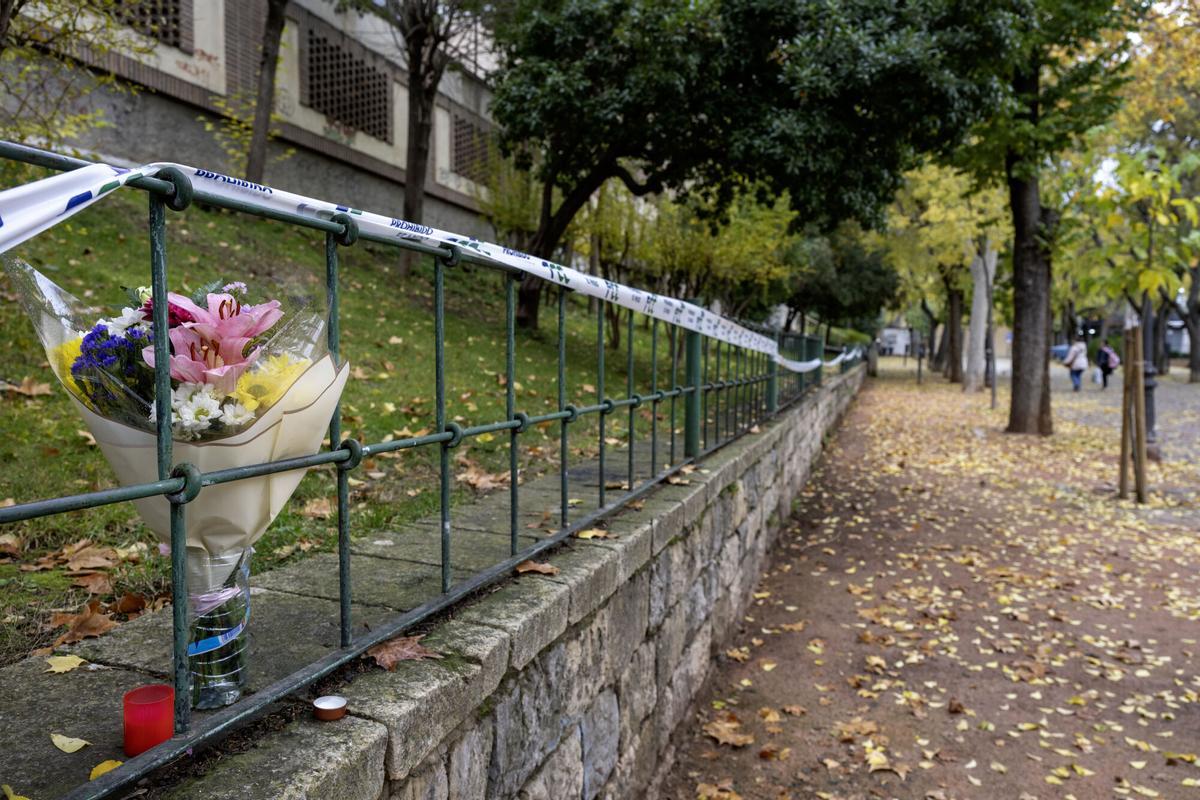 Flores en el parque donde fueron halladas muertas las dos adolescentes en Jaén. EFE/José Manuel Pedrosa