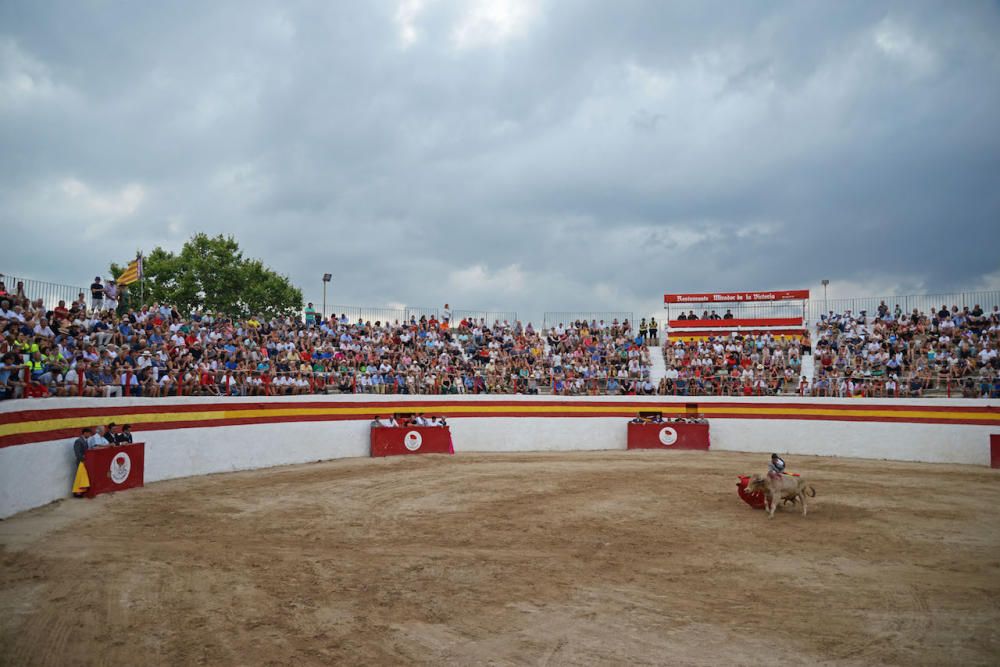 Toros en Alcúdia