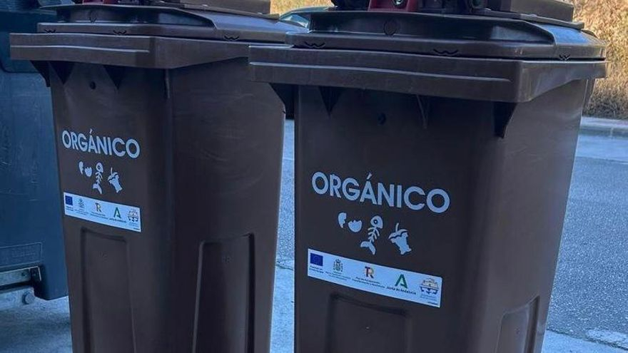 Rincón distribuye nuevos contenedores de orgánico en pescaderías, chiringuitos y restaurantes de playa
