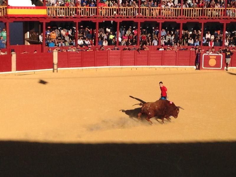 Toro de cajón y encierro urbano en Toro