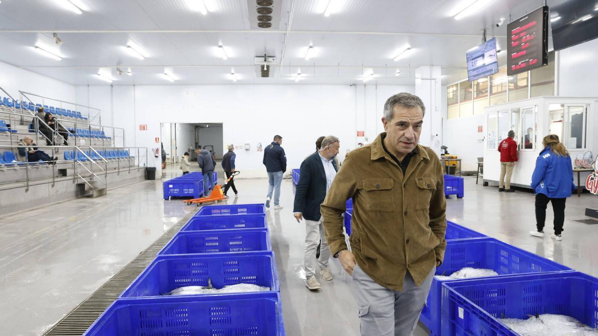 EN IMÁGENES: La campaña de bonito arranca en la lonja de Gijón con una descarga de 2.800 kilos: "El pescado está cambiando las rutinas"