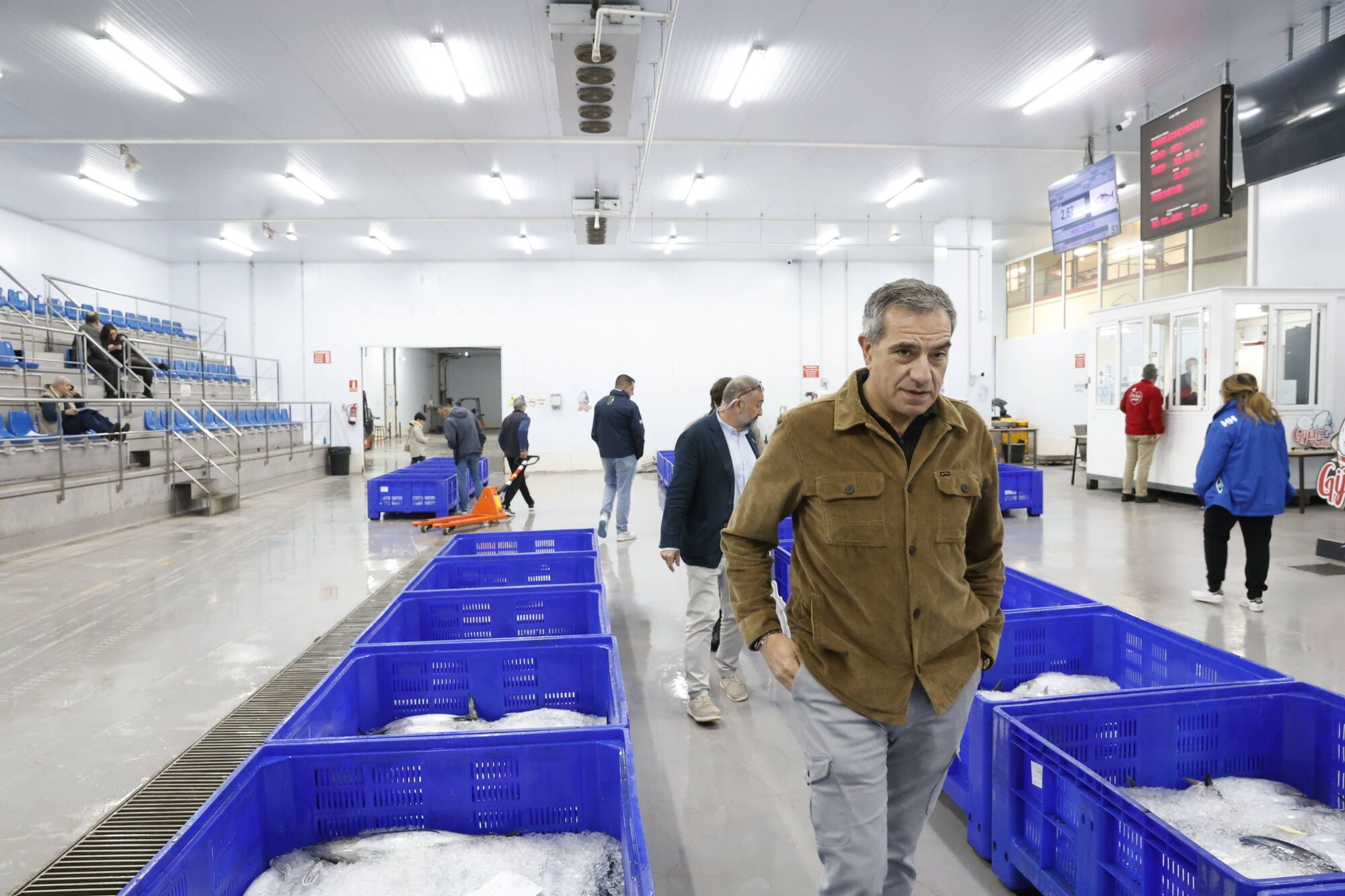 EN IMÁGENES: La campaña de bonito arranca en la lonja de Gijón con una descarga de 2.800 kilos: "El pescado está cambiando las rutinas"
