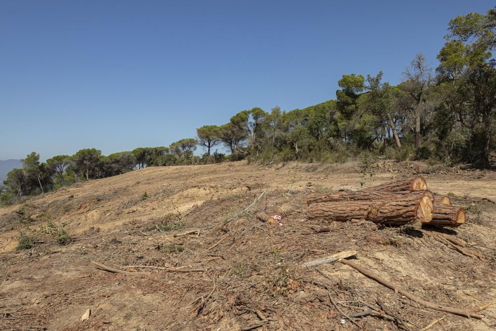 La plataforma Aturem la C-32 denuncia que la constructora segueix treballant