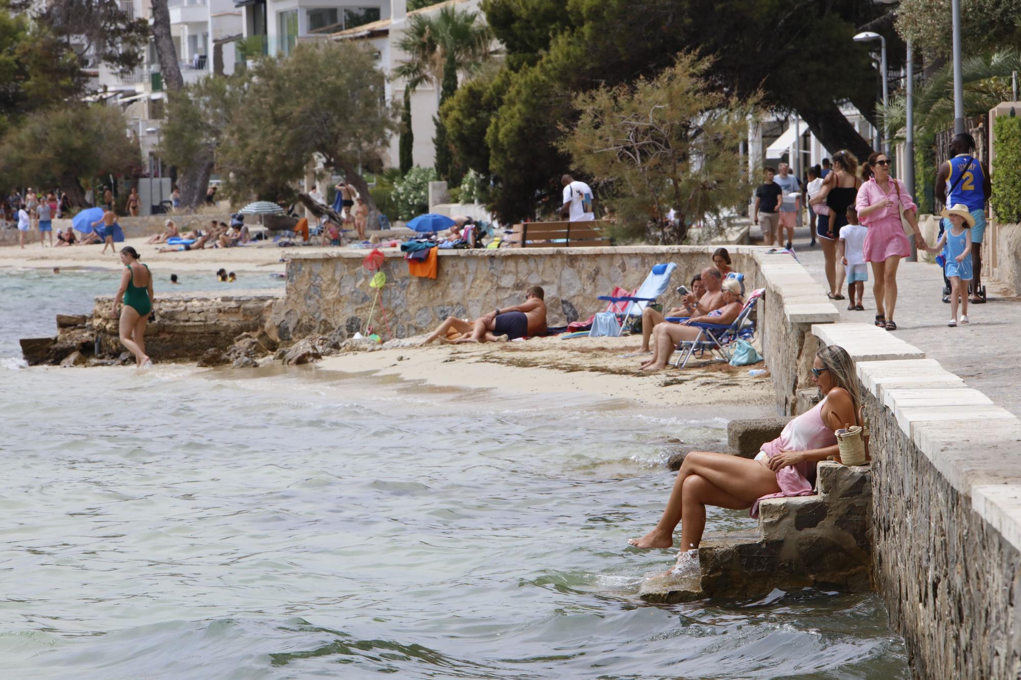 Ausflug nach Port de Pollença – der entspannte Urlaubsort im Norden von Mallorca