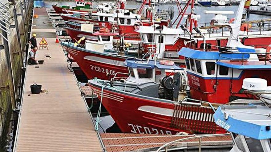 El puerto de A Coruña pierde una cuarta parte de sus pesqueros en una  década - La Opinión de A Coruña
