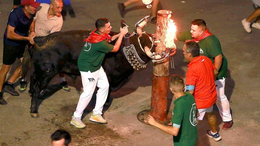 Un pueblo valenciano se queda sin bou embolat: Estos son los motivos