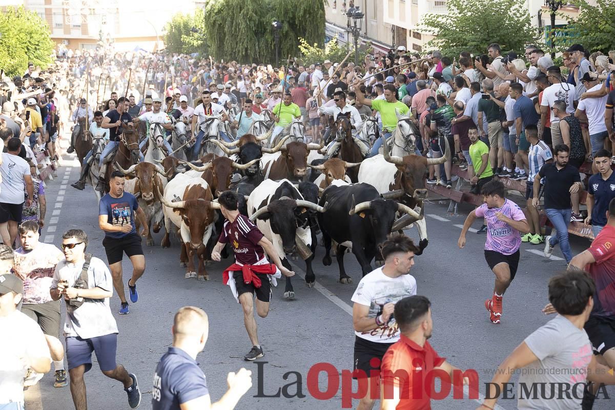 El segundo encierro de las Fiestas de Moratalla se salda con un herido