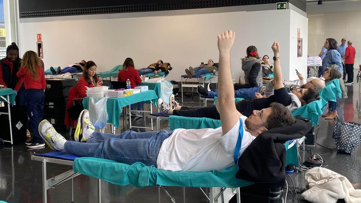 Un momento de la donación de sangre este sábado en el Centro de Congresos de Elche