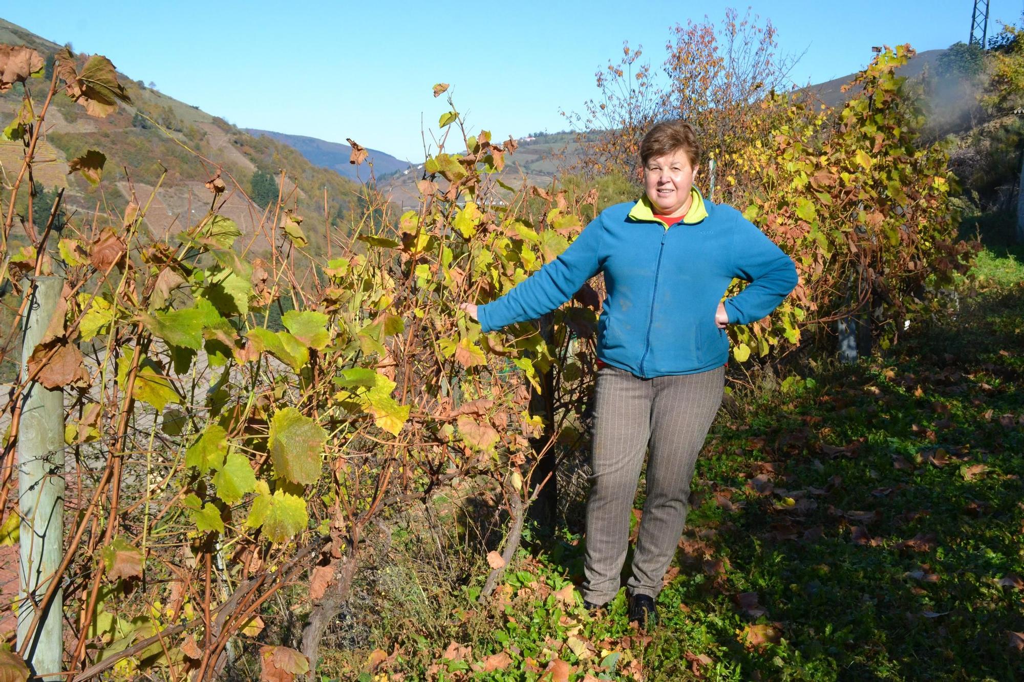 Carmen Martínez en uno de sus viñedos en una imagen tomada a mediados de noviembre.