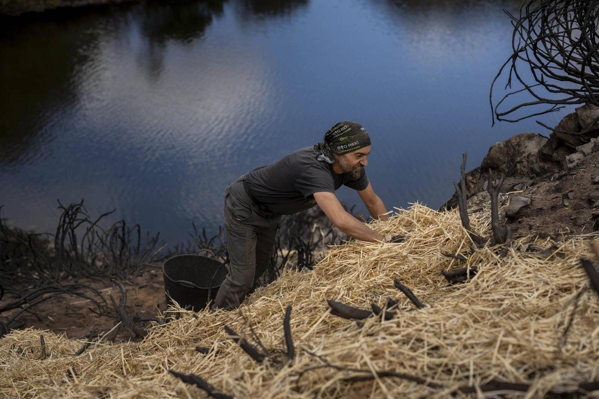 Juanjo Lorenzo, guía de montaña y de la naturaleza en Trevinca, colaboró en la tarea.