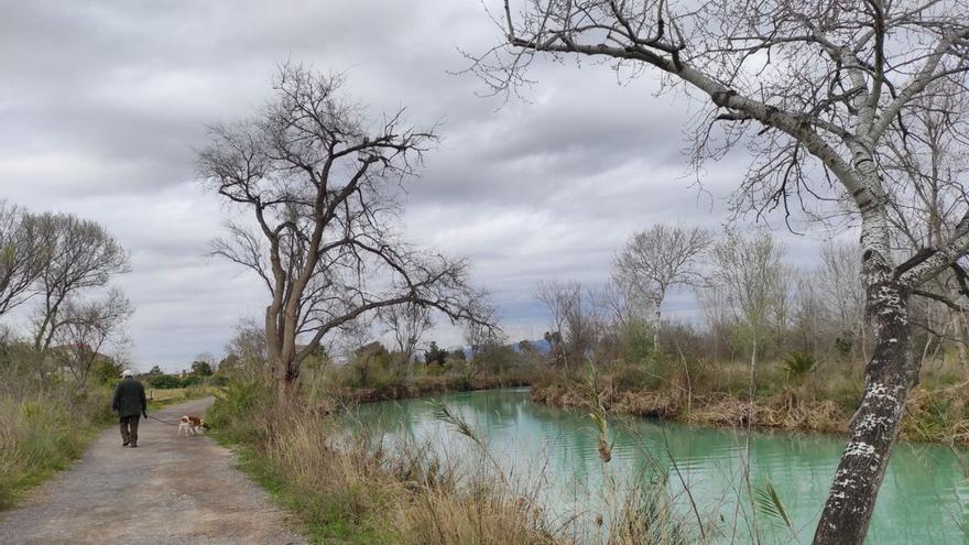 El consistorio abordará con los Feder un ambicioso proyecto de protección del enclave para restaurar el bosque.  | CALPE