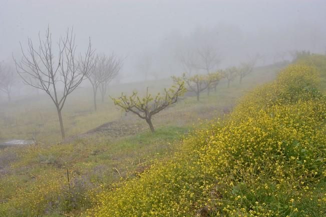 LLUVIA Y FRIO MEDIANIAS Y CUMBRE