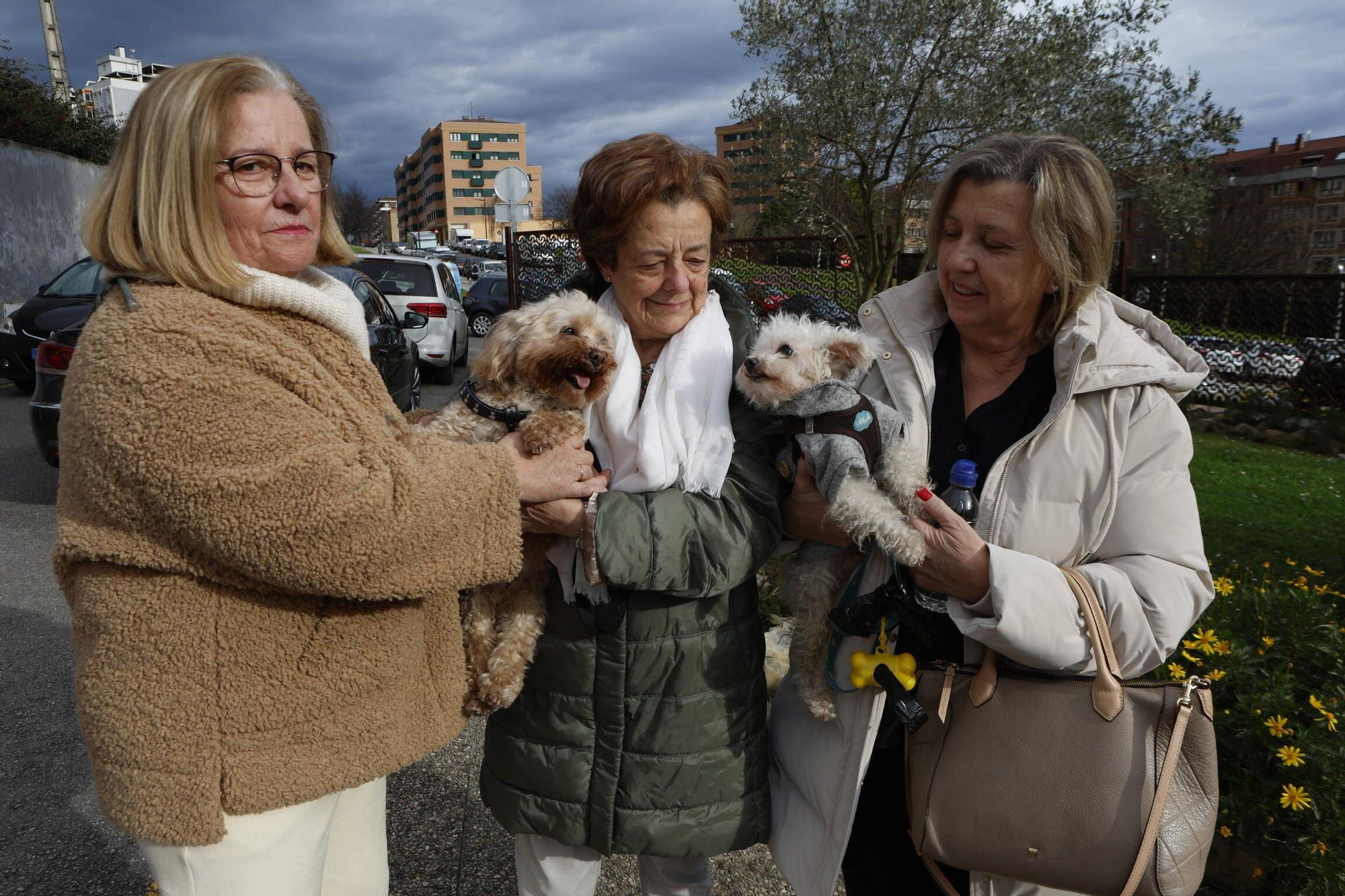 Bendición mascotas en Gijón en la parroquia de Viesques