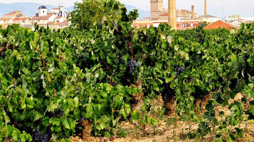 La Diputació abordará en Utiel los problemas de la despoblación en el segundo congreso de soluciones para el medio rural