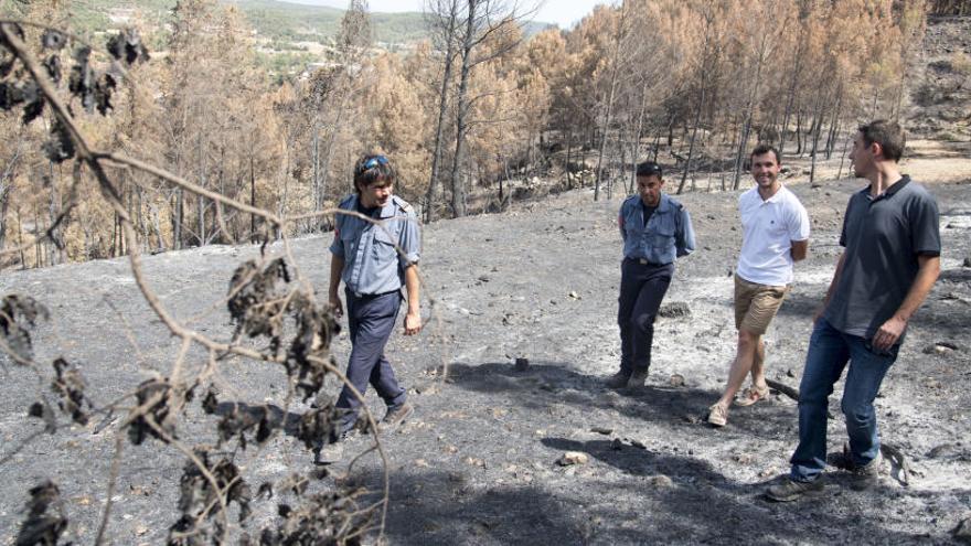 Responsables dels Bombers i d&#039;Agricultura, al lloc de l&#039;incendi.