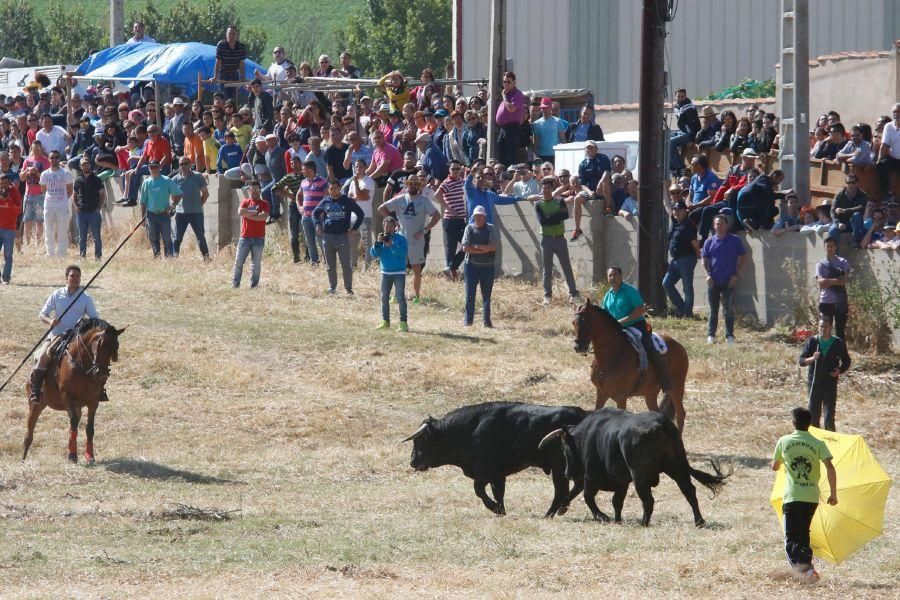 Encierro Guarrate