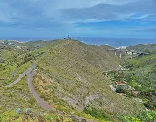 Un sendero verde conectará el palmeral de El Lasso con la Batería de San Juan