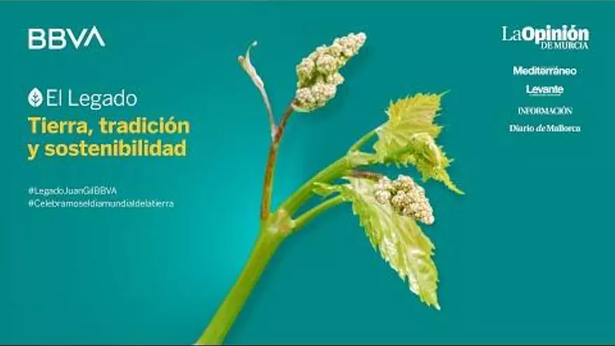 Legado tierra, tradición y sostenibilidad. Viñas Familia Gil