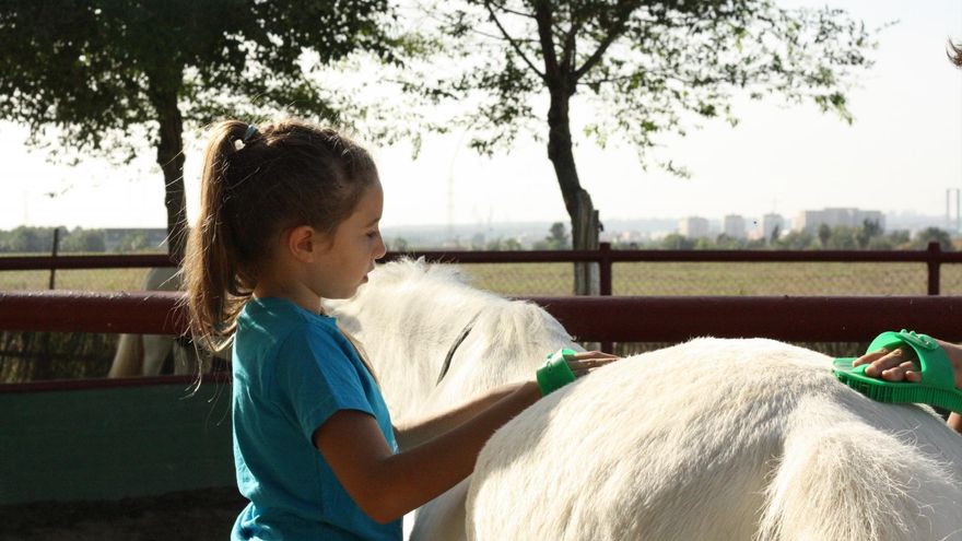 Caballos y ponis para ayudar y educar a niños de apoyo escolar