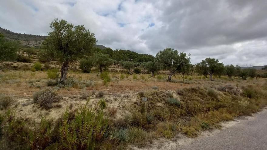 La Generalitat salva 31 hectáreas de gran valor ambiental de la planta solar entre Xixona, Busot y La Torre