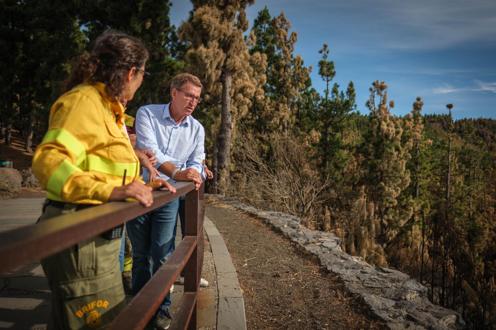 Visita de Núñez Feijóo al incendio de Tenerife