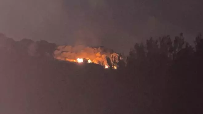 Incendio en una zona arbolada entre Arenales y Santa Pola