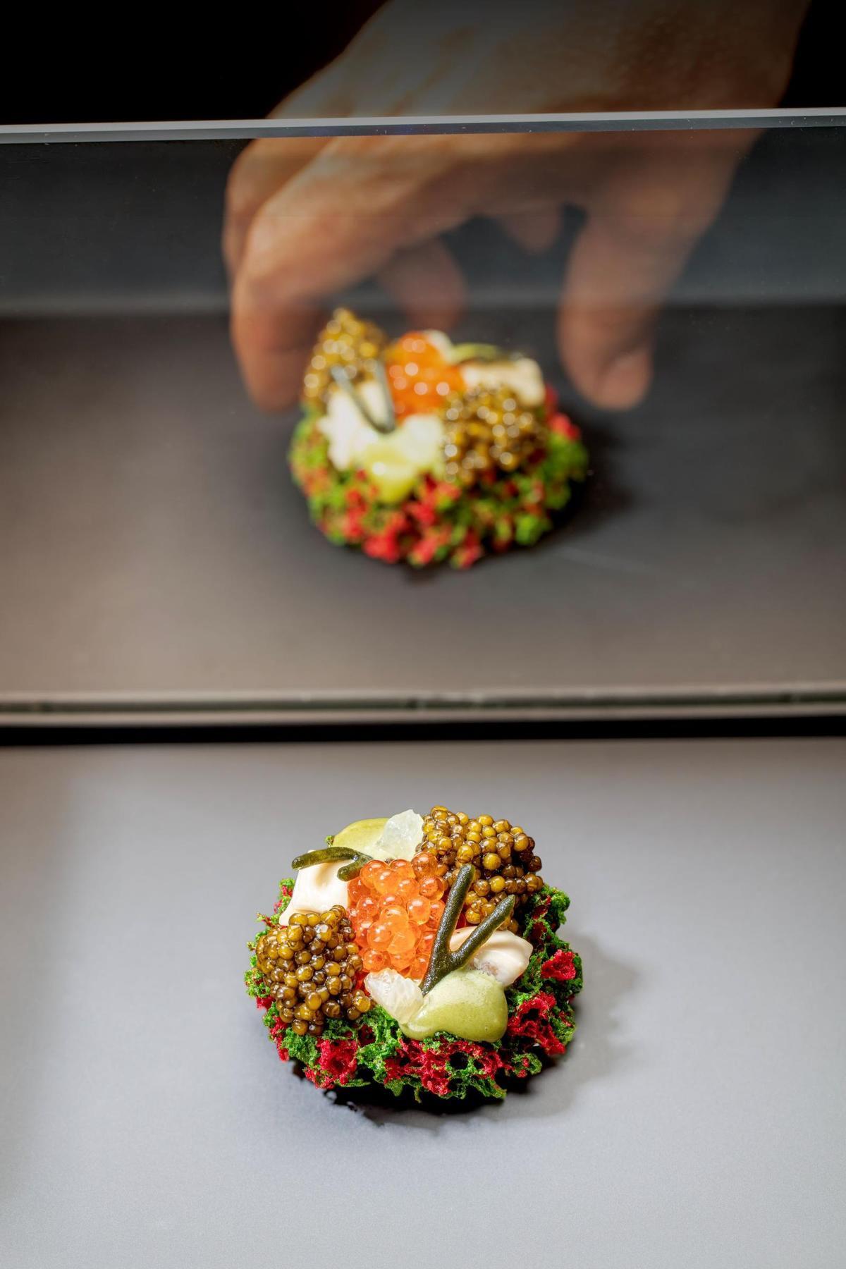Coral de amaranto y ostra, caviar y emulsión de alga codium