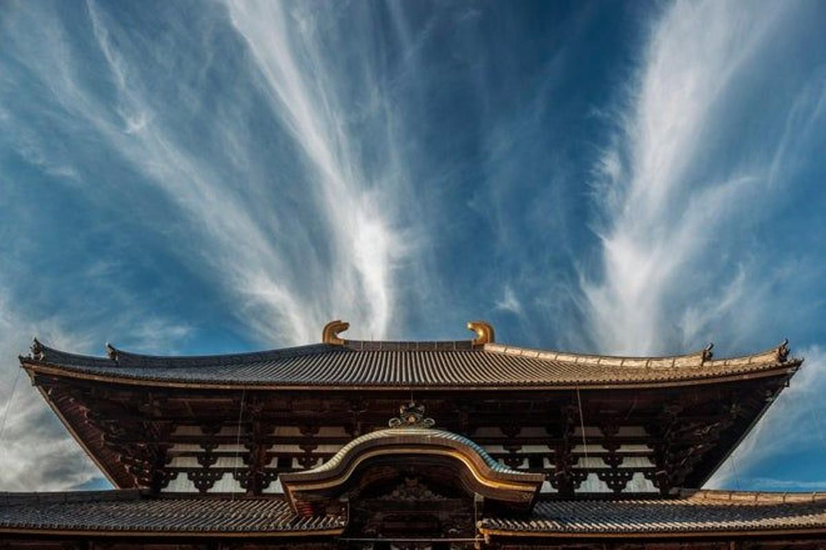 Tejado del Templo Todaiji, en Nara.