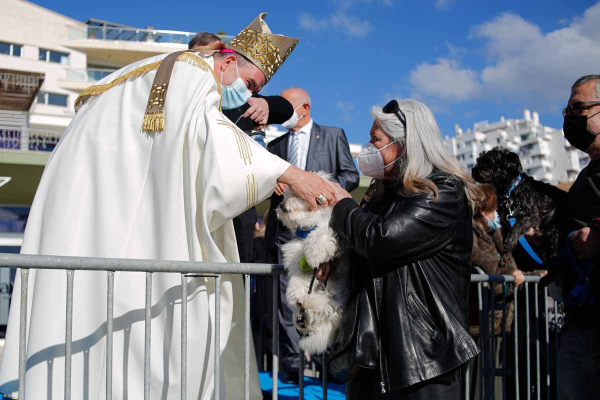 Bendición de animales en Sant Antoni