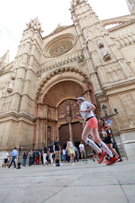 Palma Marathon Mallorca 2017