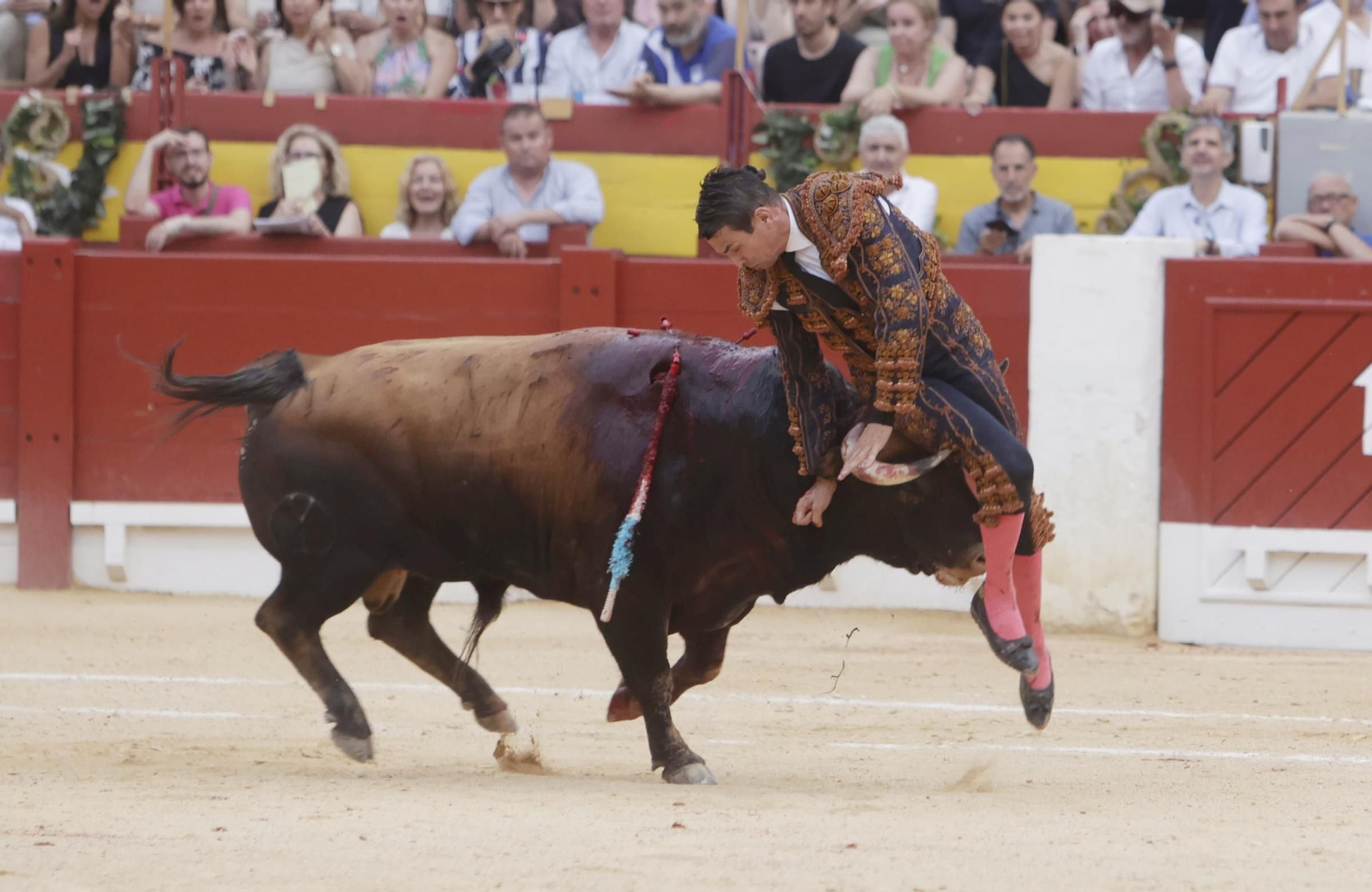 Susto en el cuarto toro de Manzanares en la Feria de Hogueras 2025