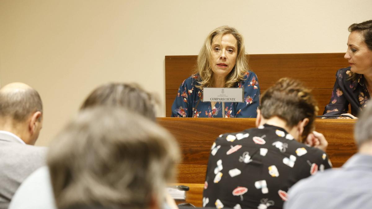 Belarmina Díaz corrobora que en la mina de Cerredo se extraía carbón ilegal: en dos galerías de casi 20 metros de longitud y 25 de altura
