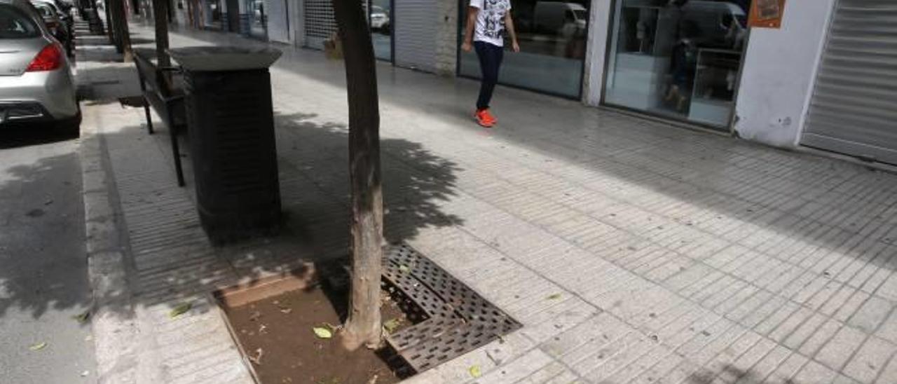 Alzira se plantea instalar cámaras en la calle para evitar más actos vandálicos