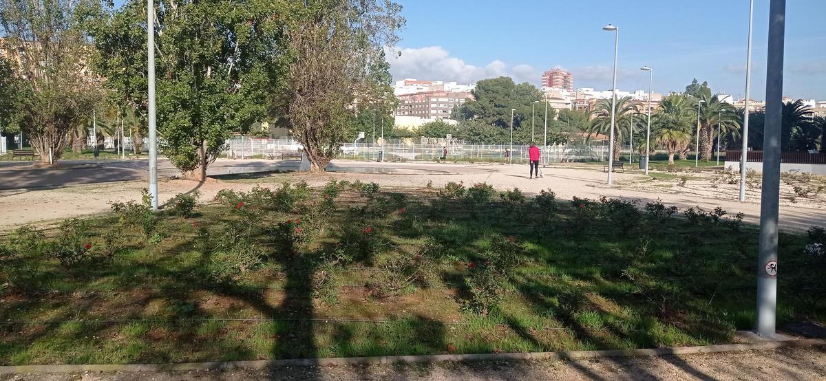 Imagen, este miércoles, del parque d elas Rosas, en el PAU Censal, con castellonenses paseando a sus perros.