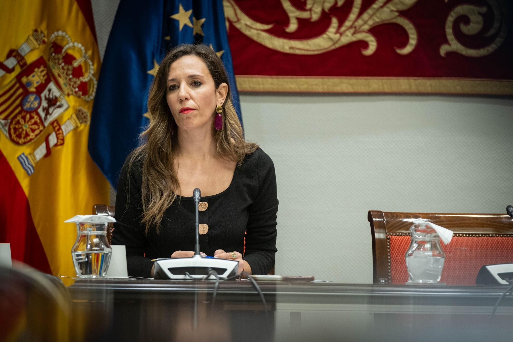 Los cabildos debaten la ley de de Ordenación Sostenible del Uso Turístico de Viviendas
