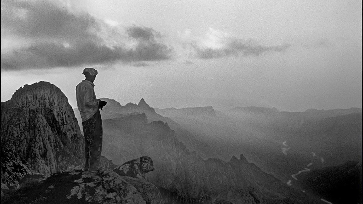 Socotra - Jordi Esteva