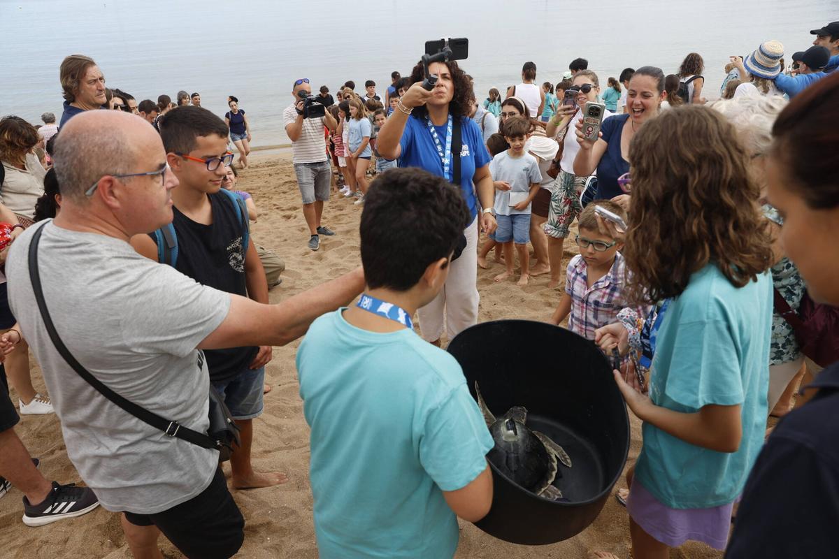 La vuelta al mar de la tortuga lora rescatada en Gijón tras recuperarse en el Acuario, en imágenes La vuelta al mar de la tortuga lora rescatada en Gijón tras recuperarse en el Acuario, en imágenes