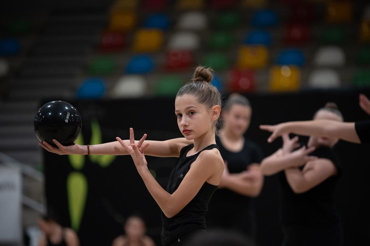 Las gimnastas desarrollaron ejercicios de una alta calidad técnica.