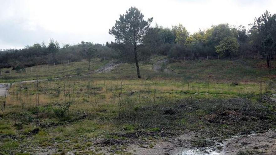 Un parcela vallada de los comuneros cuya recuperación han iniciado con la plantación de nuevas especies.  // Rafa Vázquez
